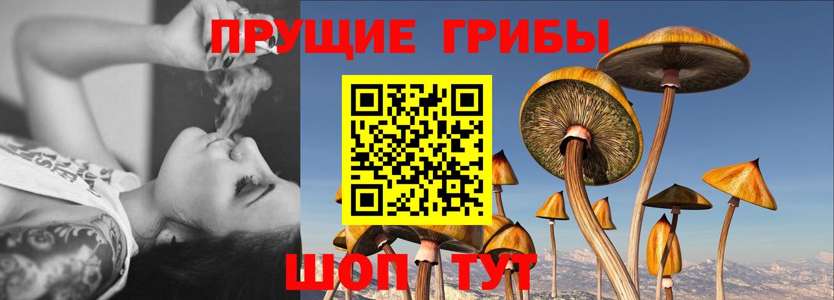 Галлюциногенные грибы прущие грибы  Вход с VPN  Нефтекумск 
