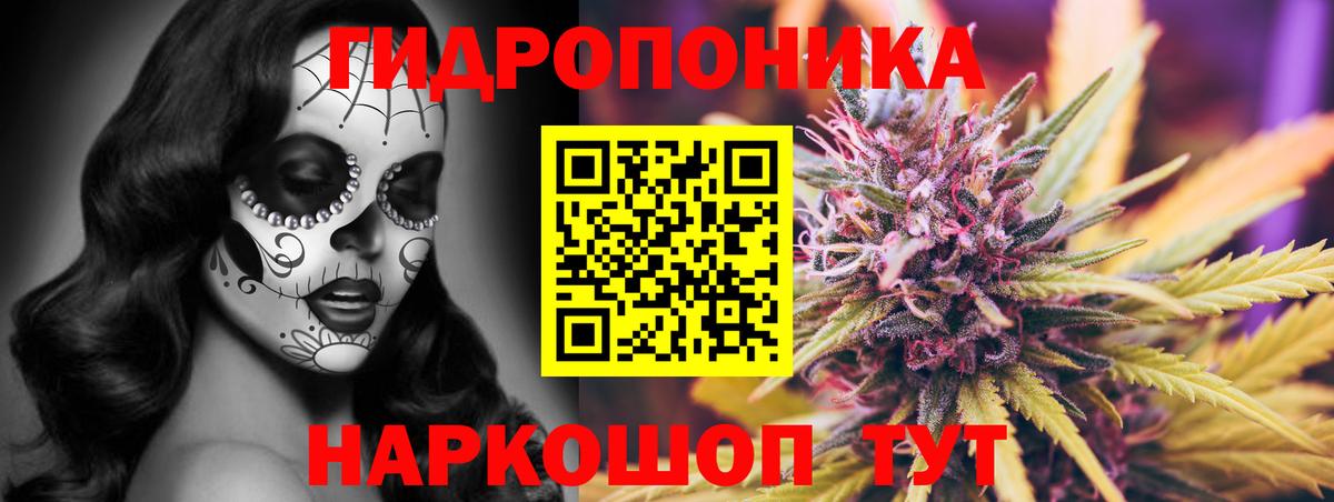 Каннабис семена  Марихуана ГИДРОПОН  Бошки марихуана White Widow  Вход с VPN  Нефтекумск 